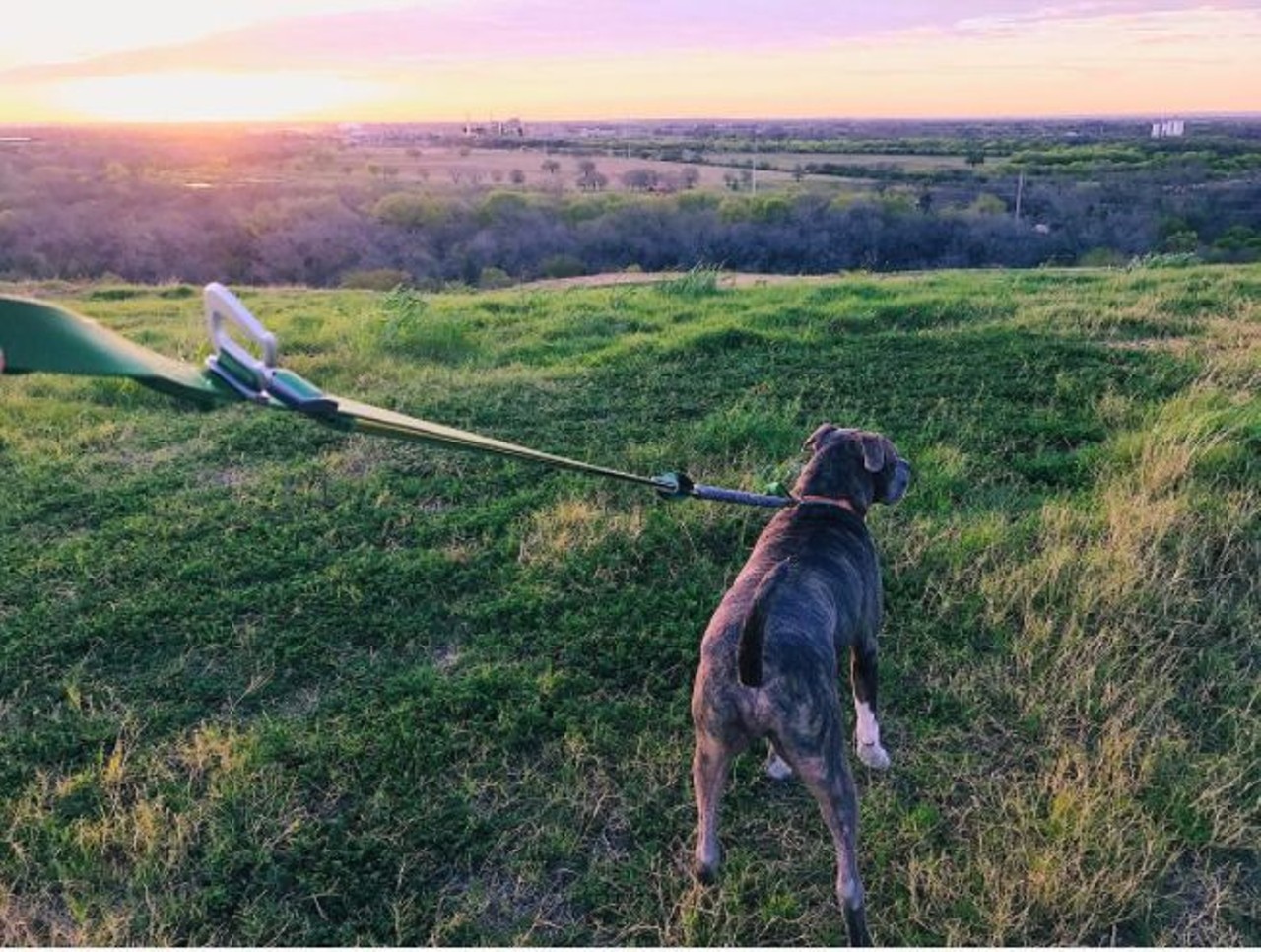 Pearsall Park
4700 Old Pearsall
This fenced-in park (actually the city&#146;s first-ever dog park) is now part of the new, revamped jewel of the Southwest Side,  compete with &#147;agility equipment&#148; for dogs, benches and fountains.
Photo via Instagram, adriacavanaugh