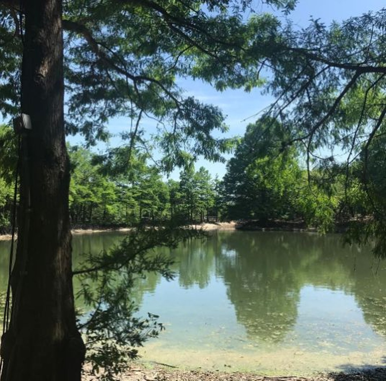 Denman Estate Park  
7735 Mockingbird Lane, (210) 207-7275
This park boasts beautiful landscape, a Japanese garden and historic landmarks. It&#146;s a beautiful and relaxing spot for a picnic with friends.
Photo via Instagram, tenthousandvoices