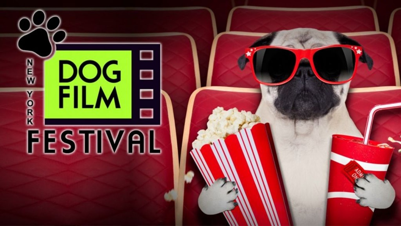 New York Dog Film Festival 
Sat., May 13, 7 & 9 p.m., $5-$25, Tobin Center for the Performing Arts