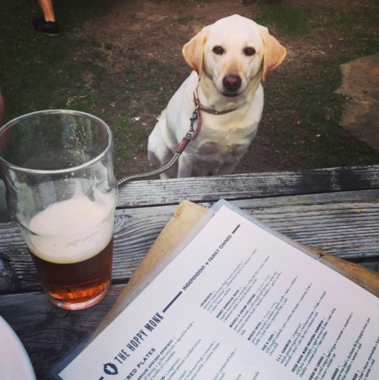 The Hoppy Monk  
1010 N. Loop 1604 E., (210) 545-3330
Whether you&#146;re going to the Hoppy Monk to grab a drink or to check out all of the pups that are typically there, you&#146;re sure to have a great night. 
Photo via Instagram,
ggheinrd
