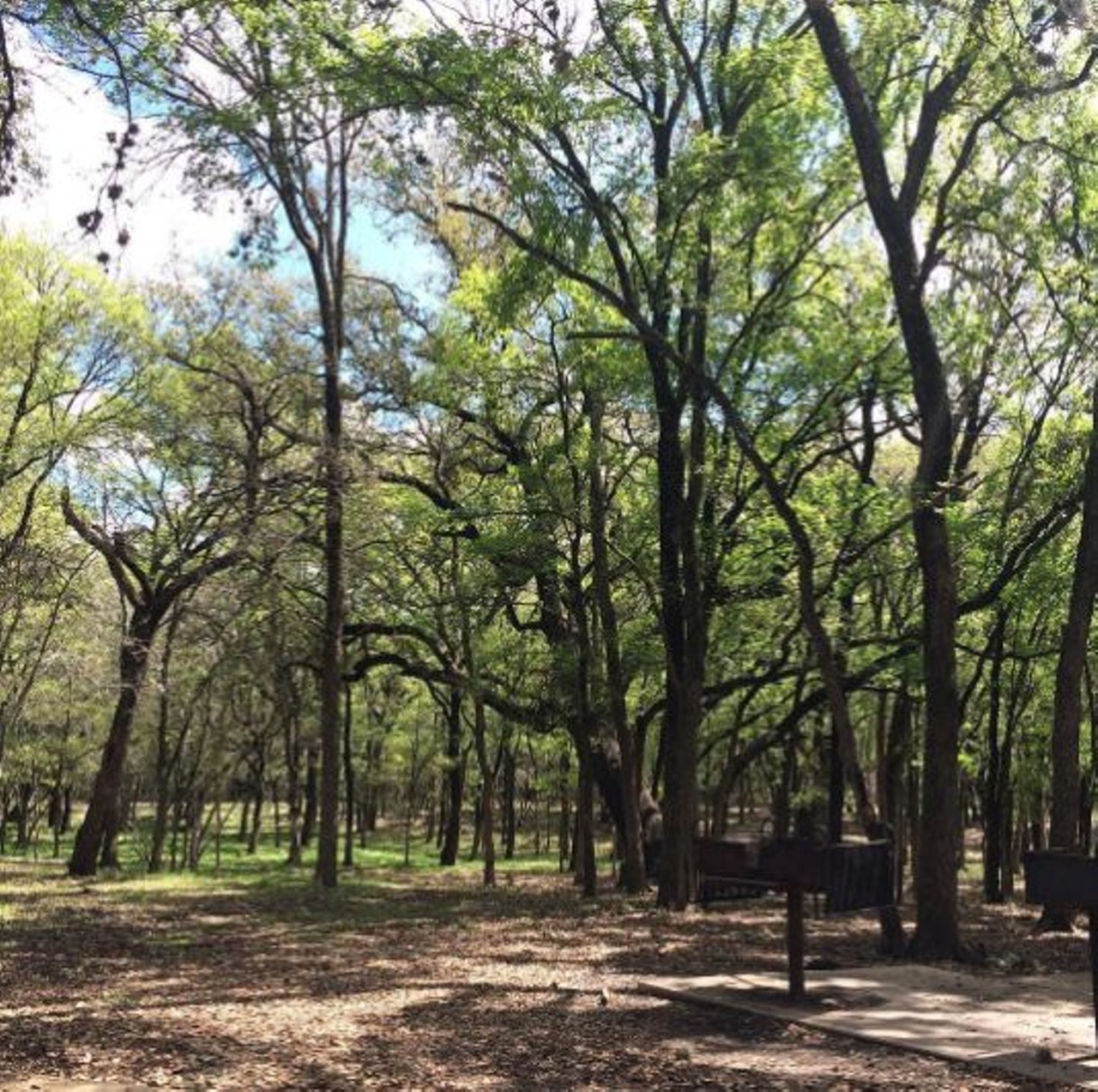 McAllister Park 
13102 Jones Maltsberger Road, (210) 207-7275 
Grab some friends and head to McAllister Park for a scenic picnic. There&#146;s also a great dog park, so don&#146;t forget to bring your pet along, too.  
Photo via Instagram, lugxuria