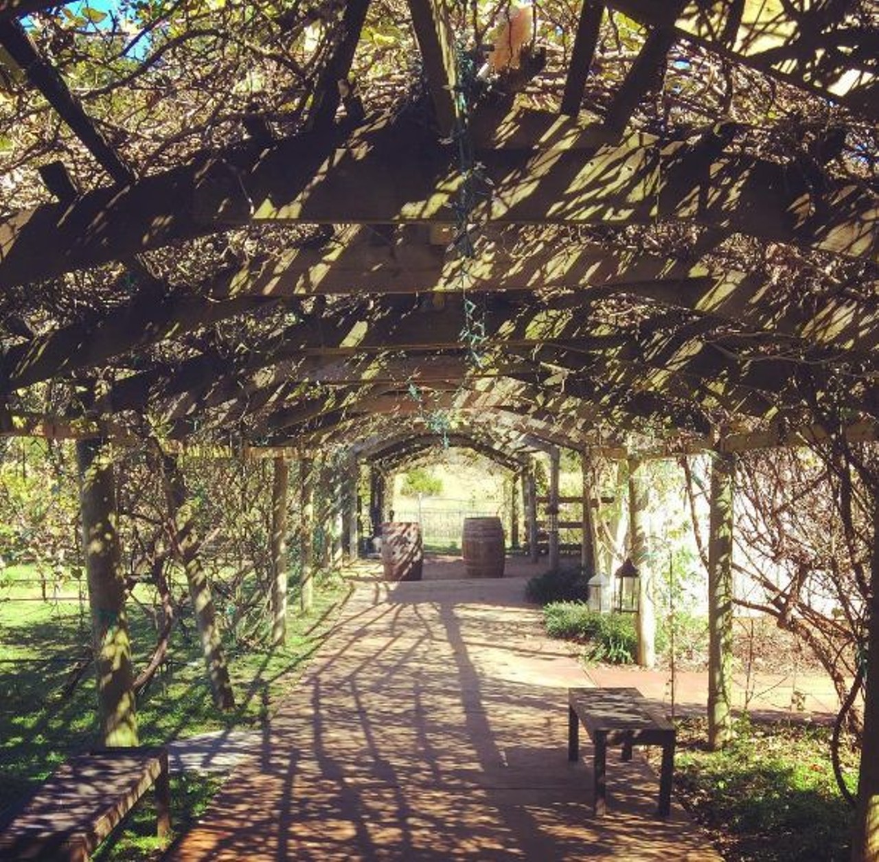 Oak Valley Vineyards
You don&#146;t need to be a wine-lover to have your picture perfect wedding here. Choose to tie the knot at the pavilion, framed by the tree branches, or just about anywhere on site.
27315 FM3009, San Antonio, oakvalleyvineyardsrestaurant.com
Photo via Instagram, pizzatariana