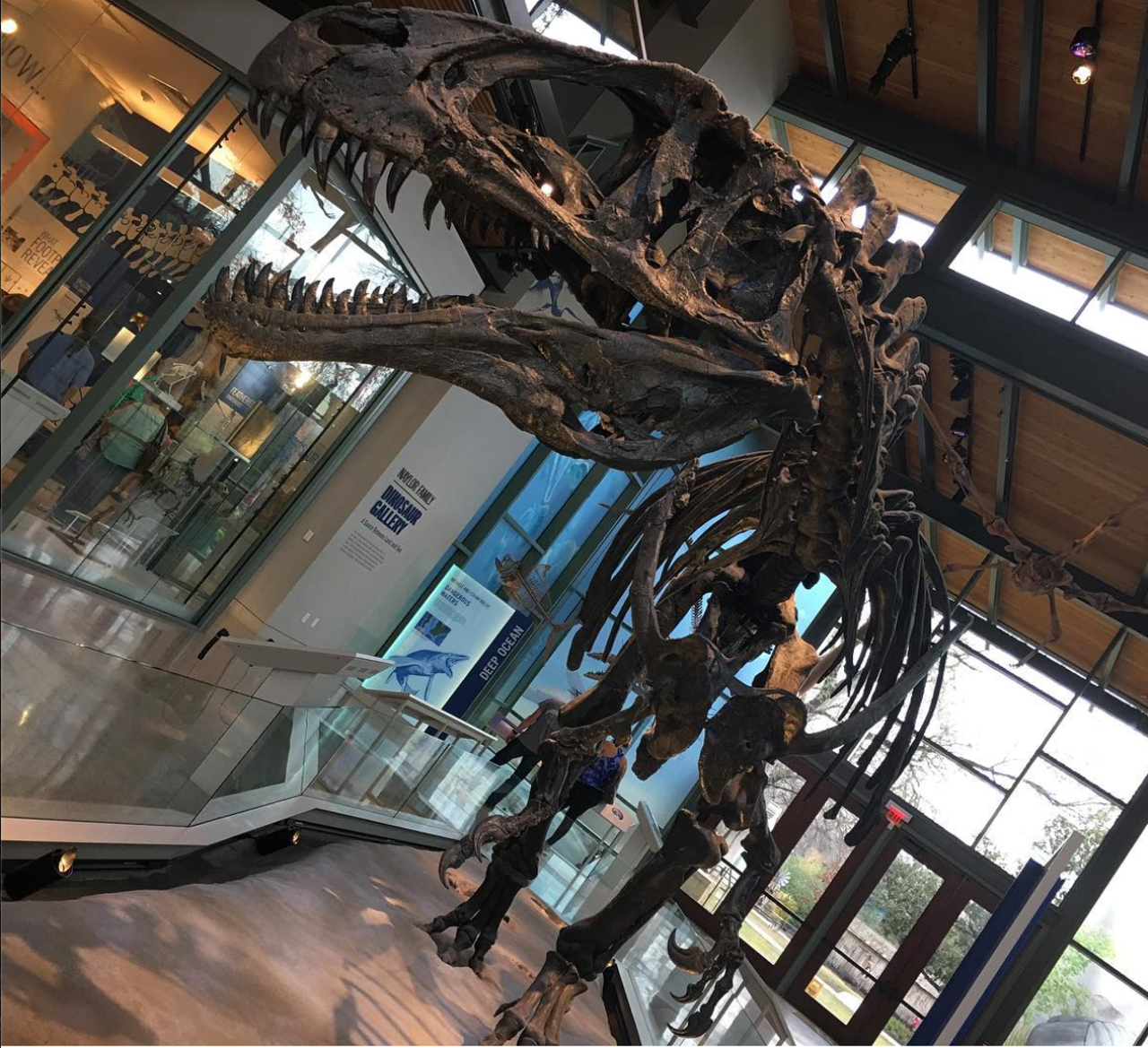 Free Admission at the Witte Museum
3801 Broadway, (210) 357-1900, wittemuseum.org
Free admission to the Witte runs on Tuesdays from 3-8pm. You'll have fun getting educated, especially if you take advantage of the special exhibit.
Photo via Instagram / kristendutsch