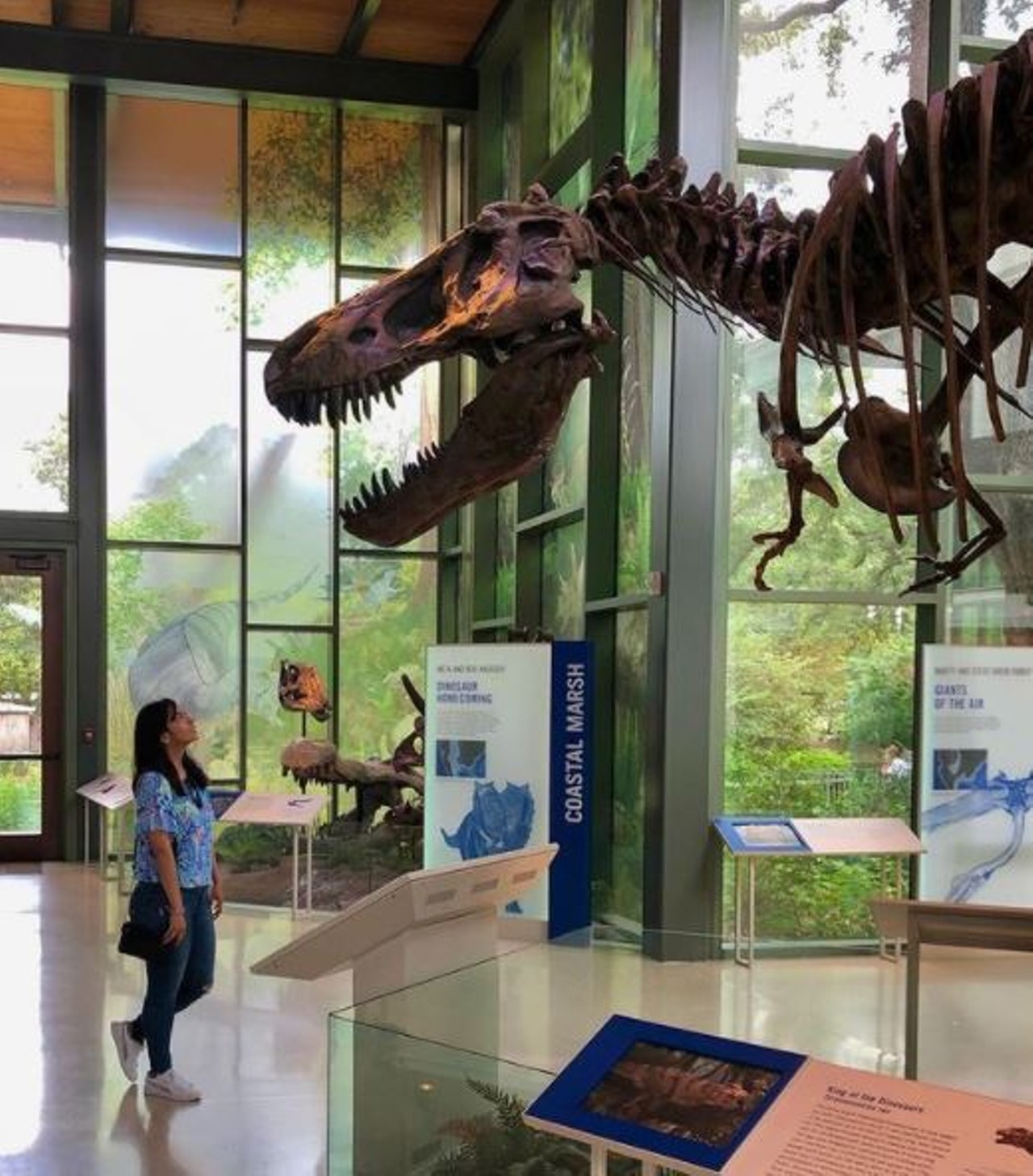 Find something for everyone at The Witte Museum
3801 Broadway St, (210) 357-1900, wittemuseum.org
From dinosaurs to human anatomy to Texas history, the Witte Museum has something for every guest to step through its doors. Admission fees are waived on Tuesday afternoons.
Photo via Instagram / jenngarlem