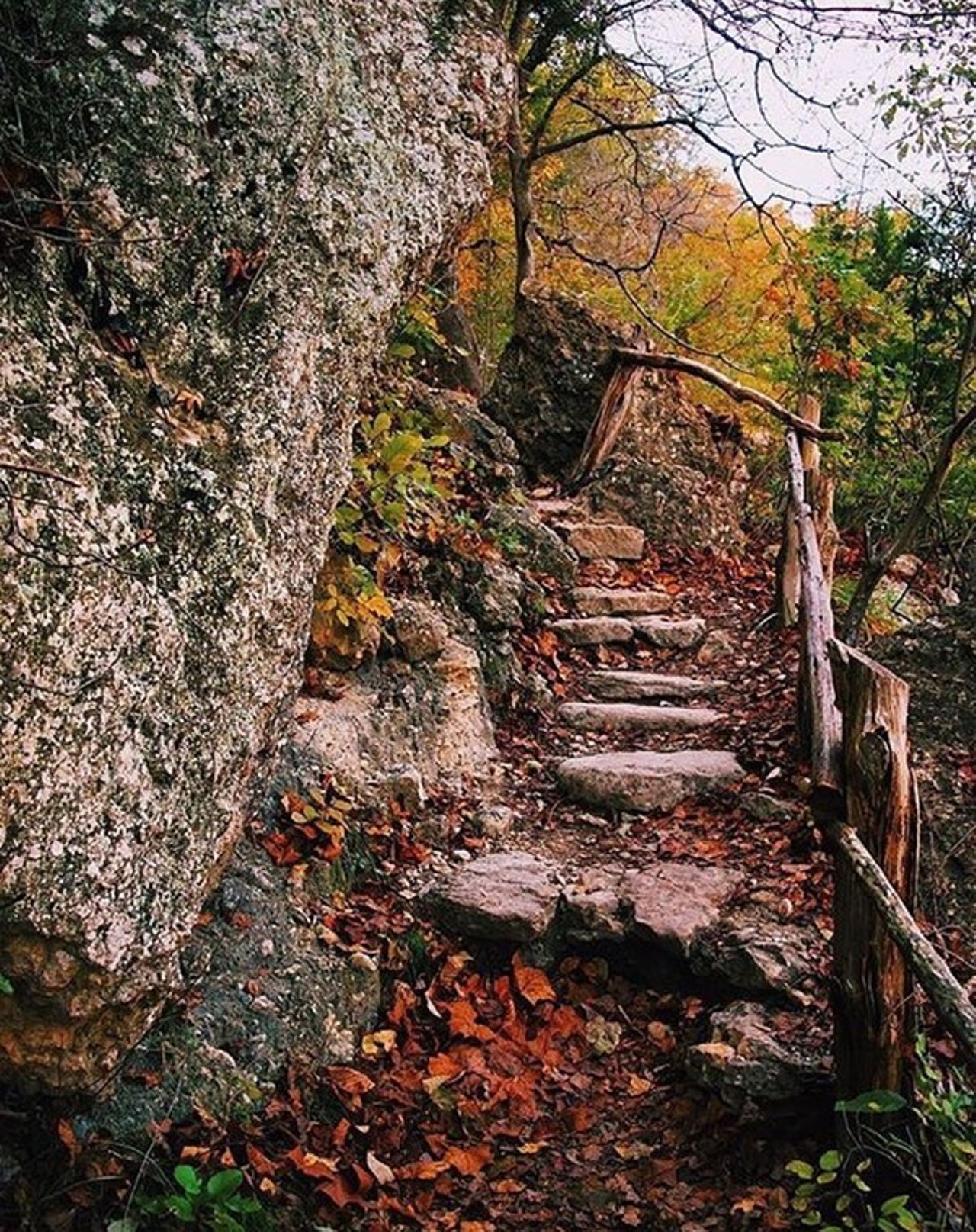 Take a Hike
San Antonio's city parks offer plenty of trails to explore, but if you feel like getting a little further out, vIsit the Texas Parks and Wildlife Department's website. Plenty of amazing natural sites are a relatively quick drive from SA. 
Photo via Instagram /  lostmaples