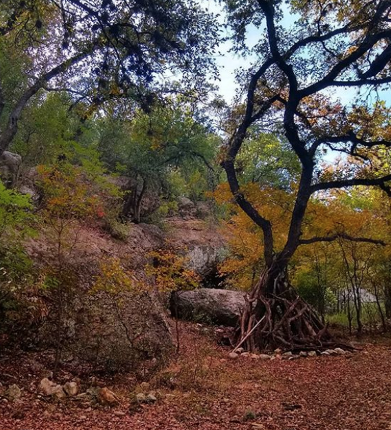 Cathedral Rock Park
8002 Grissom Road, (210) 207-7275, sanantonio.gov
Looking for a spot that gives serious nature vibes, but you don’t have to go far to get them? You’ll appreciate Cathedral Rock. Here you’ll be able to enjoy trails — whether you choose to bike or walk them — as well as big grassy areas and picnic tables too if you’re looking to sit back for a bit. There’s also playgrounds so the kids can run around.
Photo via Instagram / nic_is_nicole
