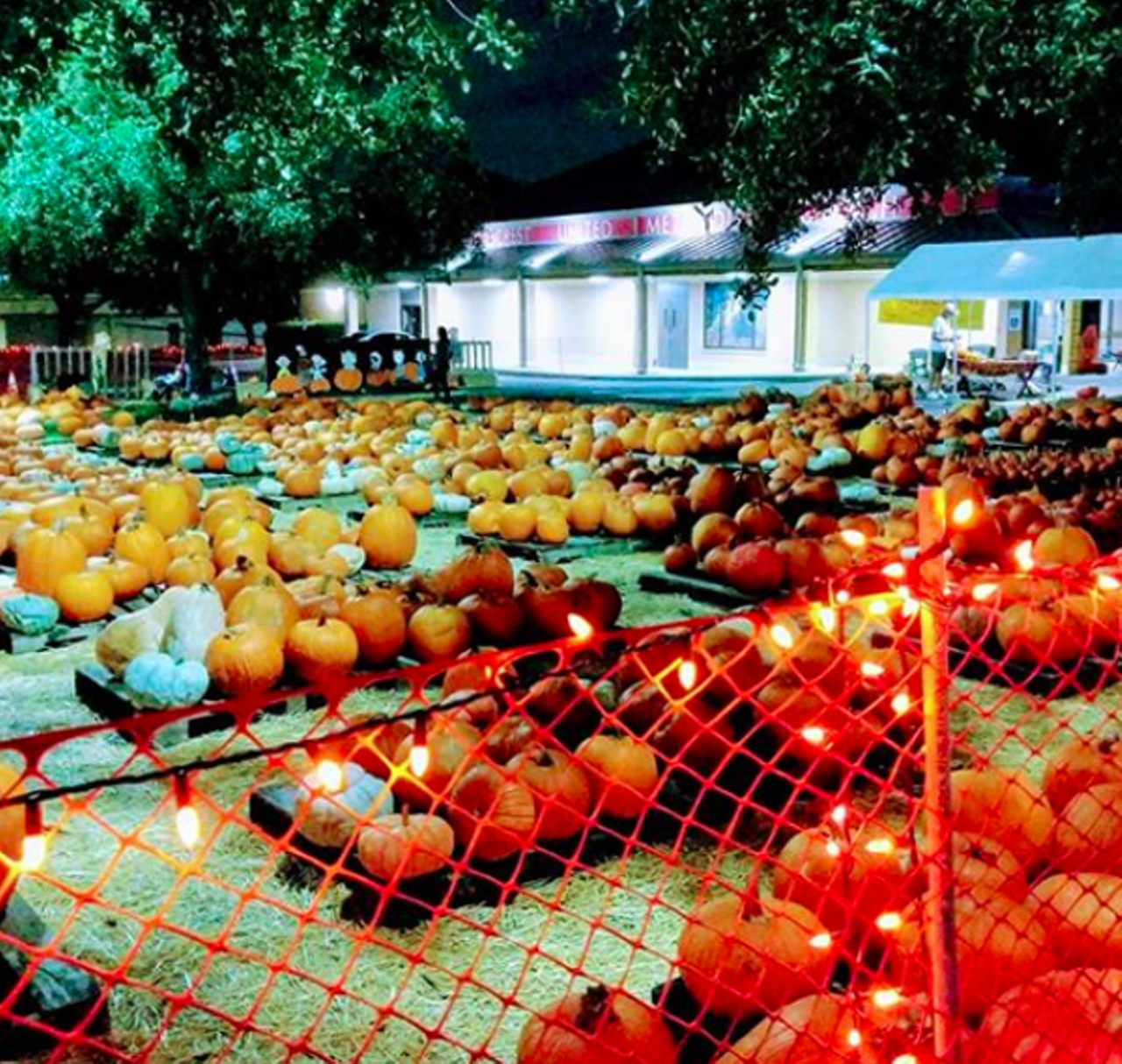 Windcrest United Methodist Church
8101 Midcrown, Windcrest, Texas, (210) 654-0404, windcrestumc.org
Located off Walzem Road, this pumpkin patch is open daily through Halloween — or until they run out of pumpkins. Fall activities include the Sppokley the Square Pumpkin Story Walk, and a movie night on October 23.
Photo via Instagram / moinsatx