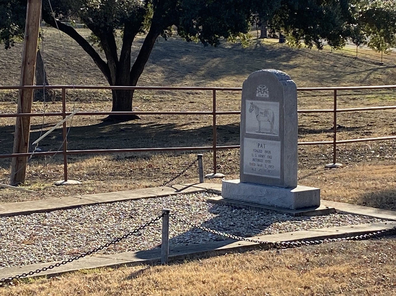 There's a gravesite honoring a U.S. Cavalry horse at Ft. Sam Houston. 
Located on the northwest side of Ft. Sam Houston near the Westfort neighborhood is a single, large grave, where the beloved Pat the Horse is buried. Pat was a cavalry horse in the U.S. Army in the early 1900's. When the army decommissioned its cavalry, Pat was in his 20s and was set to be euthanized, but the soldiers at Ft. Sam Houston lobbied Washington for him to be spared. The request was approved and Pat spent his retirement at the fort. When Pat died at the ripe old age of 45 he was honored with a grave with his portrait on the headstone.