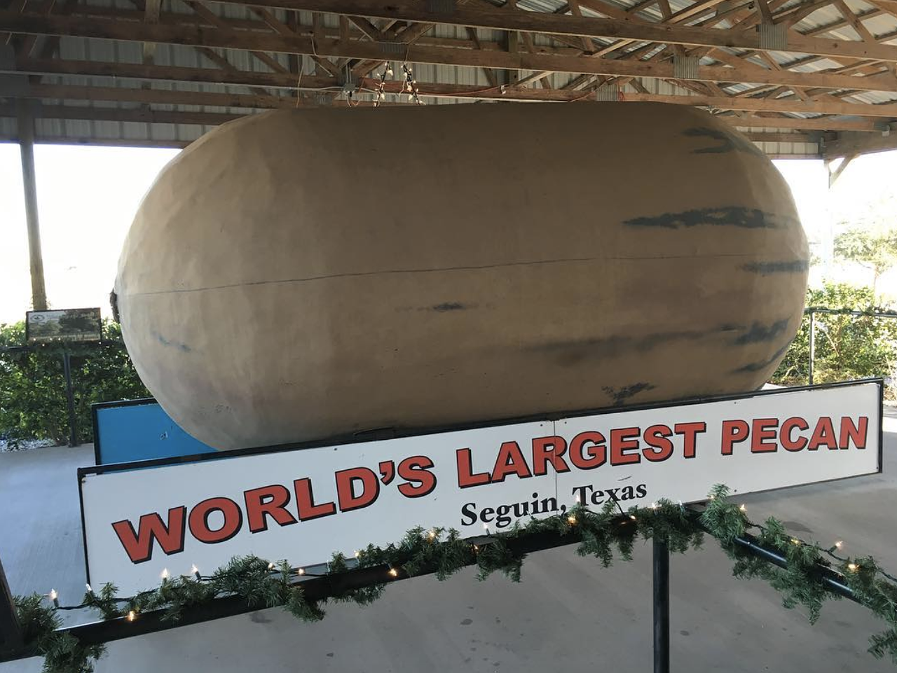 World's Largest Pecan, Seguin, TX
390 Cordova Road, Seguin, roadsideamerica.com
The Pecan Capital of the world won the title not just for its fields of ofTexan pecan trees but also for the 16-foot long, 8-foot wide statue of a pecan which sits outside of the Pecan Museum of Texas, which houses Texan folk art and nutcrackers. 
Photo via Instagram /  angrygardener
