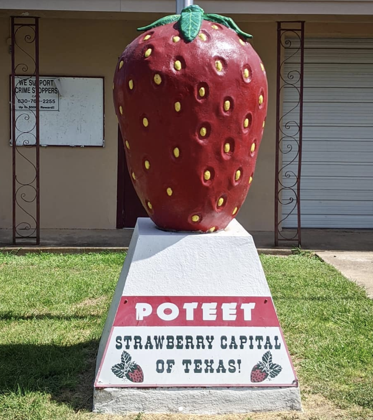 World’s Largest Strawberry, Poteet, TX
530 Avenue H, Poteet, roadsideamerica.com
The strawberries in Poteet are anything but petite, including the 7-foot tall statue of a strawberry located in front of the town’s fire station. Though Poteet’s iconic annual Strawberry festival was canceled this year due to the pandemic, the burg pays homage to its trademark crop year round with statues and artwork. 
Photo via Instagram /  laurenturek