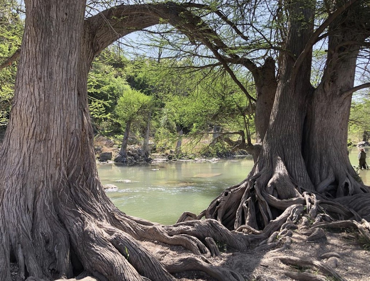 Guadalupe River State Park
3350 Park Rd 31, Spring Branch, (830) 438-2656, tpwd.texas.gov
On certain sections of the 13 miles of trails at Guadalupe River State Park, located west of 281 in Spring Branch, you can even ride your horse! If you want a rougher terrain, try the lesser-traveled Bauer Unit.
Photo via Instagram / lesliercsmith