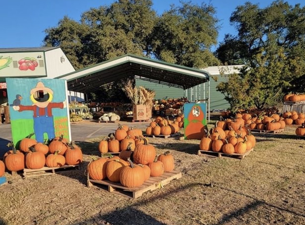 Stahlmans at Bear Creek
5511 FM 2722, New Braunfels, 
(830) 515-3658, facebook.com/stahlmans
This farm stand has all your pumpkin needs covered, from Halloween decorations to the perfect gourds for scratch-made pumpkin pie. Stahlman's is open Wednesday-Saturday from 9 a.m.-4 p.m.
Photo via Instagram / stahlmansbearcreek