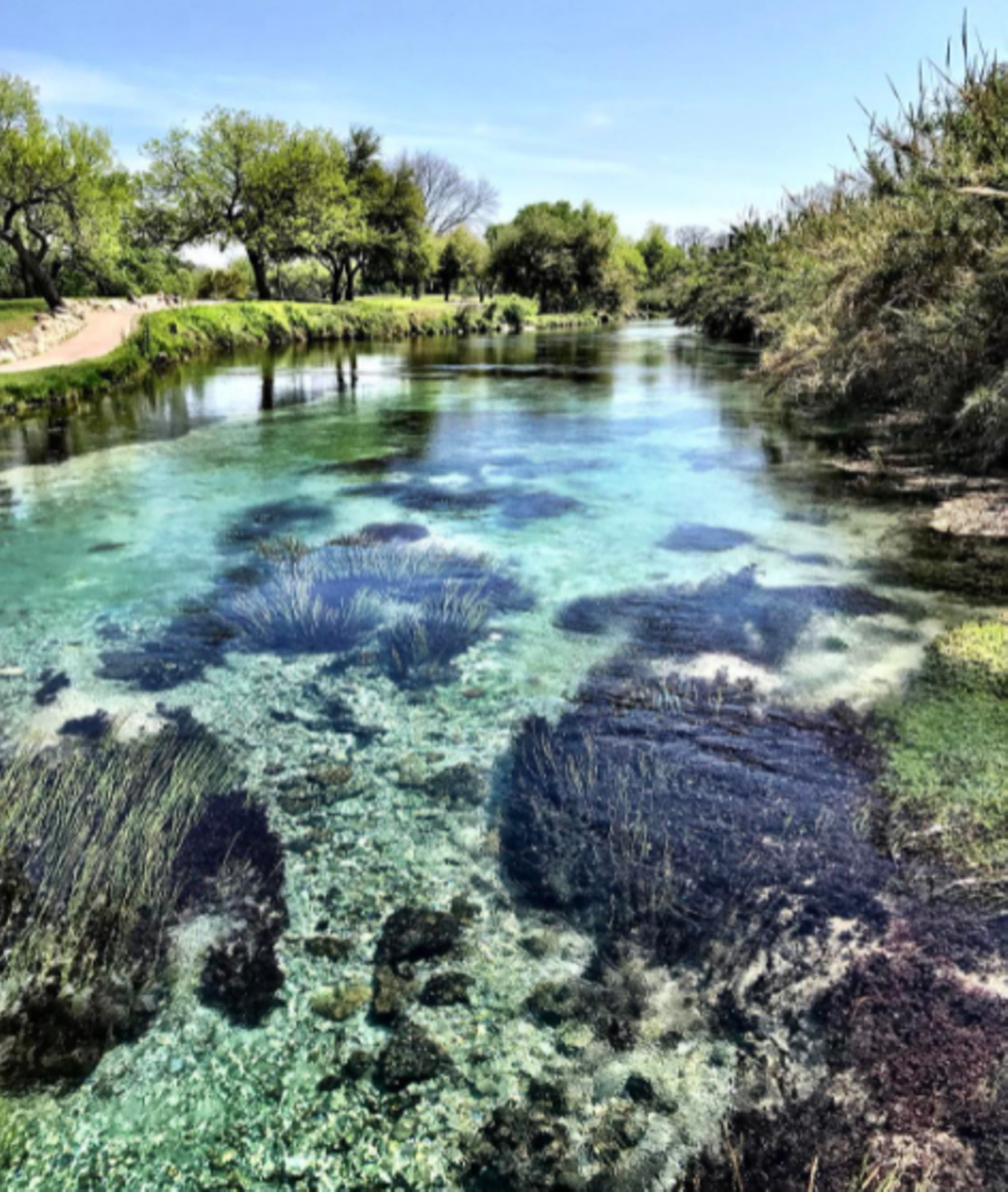 San Felipe Springs
Del Rio, edwardsaquifer.net
San Felipe Springs are the fourth-largest in the state, and the crystalline waters a great swimming spot if you’re near the border.
Photo via Instagram / relleyyy