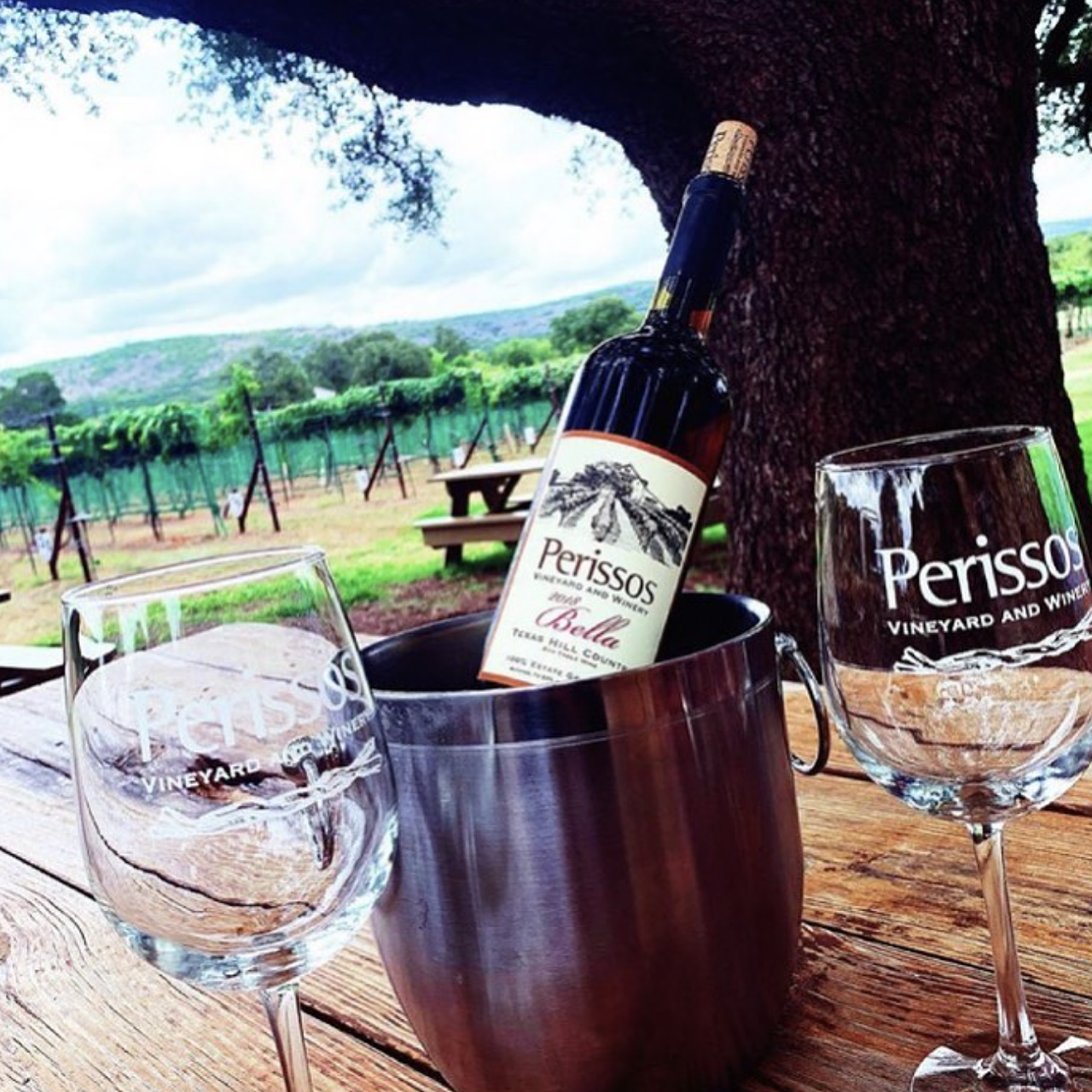 Perissos Vineyard & Winery
7214 Park Rd 4 W, Burnet, TX, (512) 820-2950, perissosvineyards.comThis Burnet venue would definitely be a day-trip, but when you consider the on-premise restaurant, spacious tasting room and ample outdoor space, it’d be easy to spend your day here.
Photo via Instagram / officialperissosvineyards