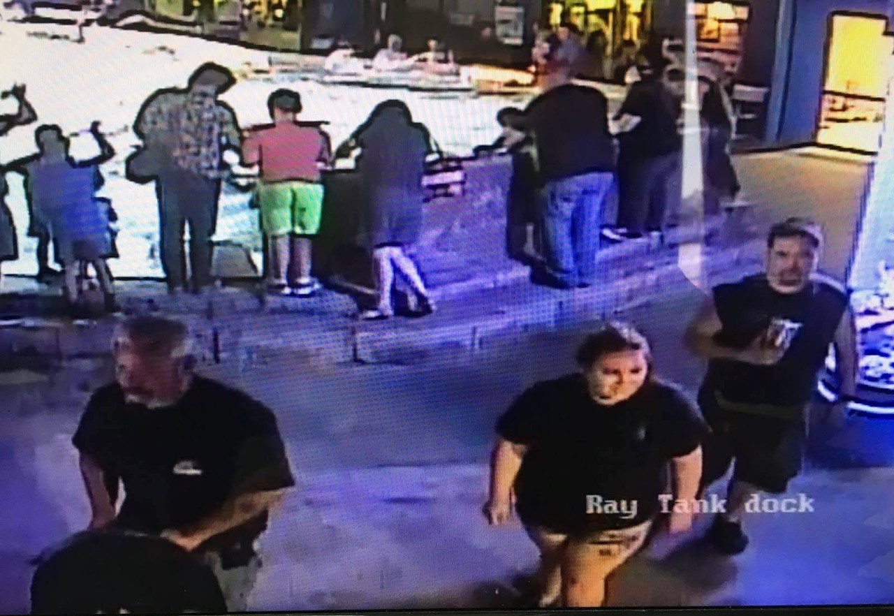 The Great Shark Robbery
San Antonio was in the national spotlight in 2018 when two men and a woman were caught on camera stealing a baby shark from the local aquarium. The trio was seen taking a 1-and-a-half-foot horn shark from its tank, putting it into a bucket and placing that bucket in a stroller so it appeared as if they were pushing a baby around. Due to security footage, police were able to name the main culprit as Anthony Shannon, whose garage was filled with various marine life and other pets not intended for its storage.
Photo via Facebook / San Antonio Aquarium