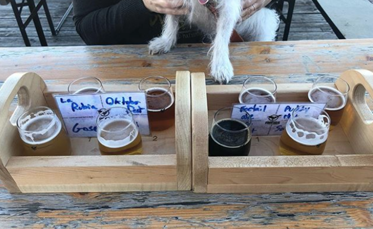 Freetail Brewing Co.
Masks Not Required for Customers
Multiple Locations, freetailbrewing.com
You can support local entrepreneurs, get boozy and kick back with your furry sidekick over at Freetail. There’s always special events and other fun going on, so you’re bound to meet other doggos that will make friends with your ride-or-die.
Photo via Instagram / texasdevin
