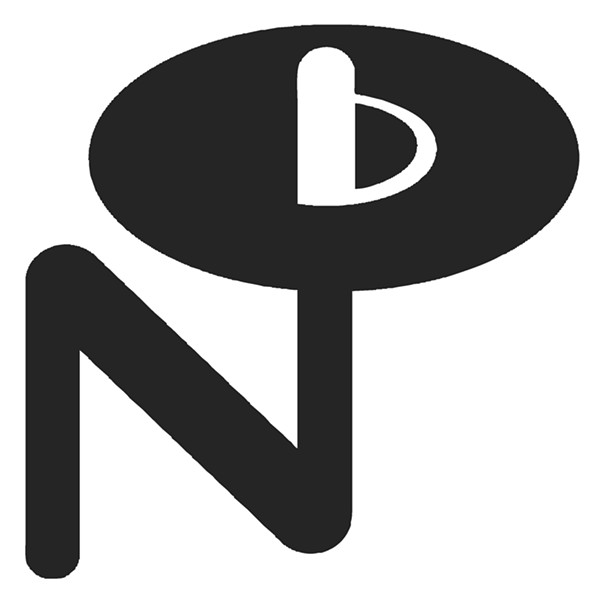 thenumerogroup-logo-2jpg