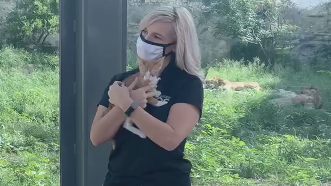 San Antonio Zoo and Animal Defense League Team Up for Adorable Adoptable Pet Play Dates