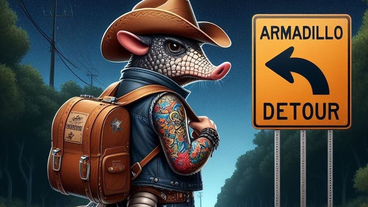 armadillo_detour__1_.jpg