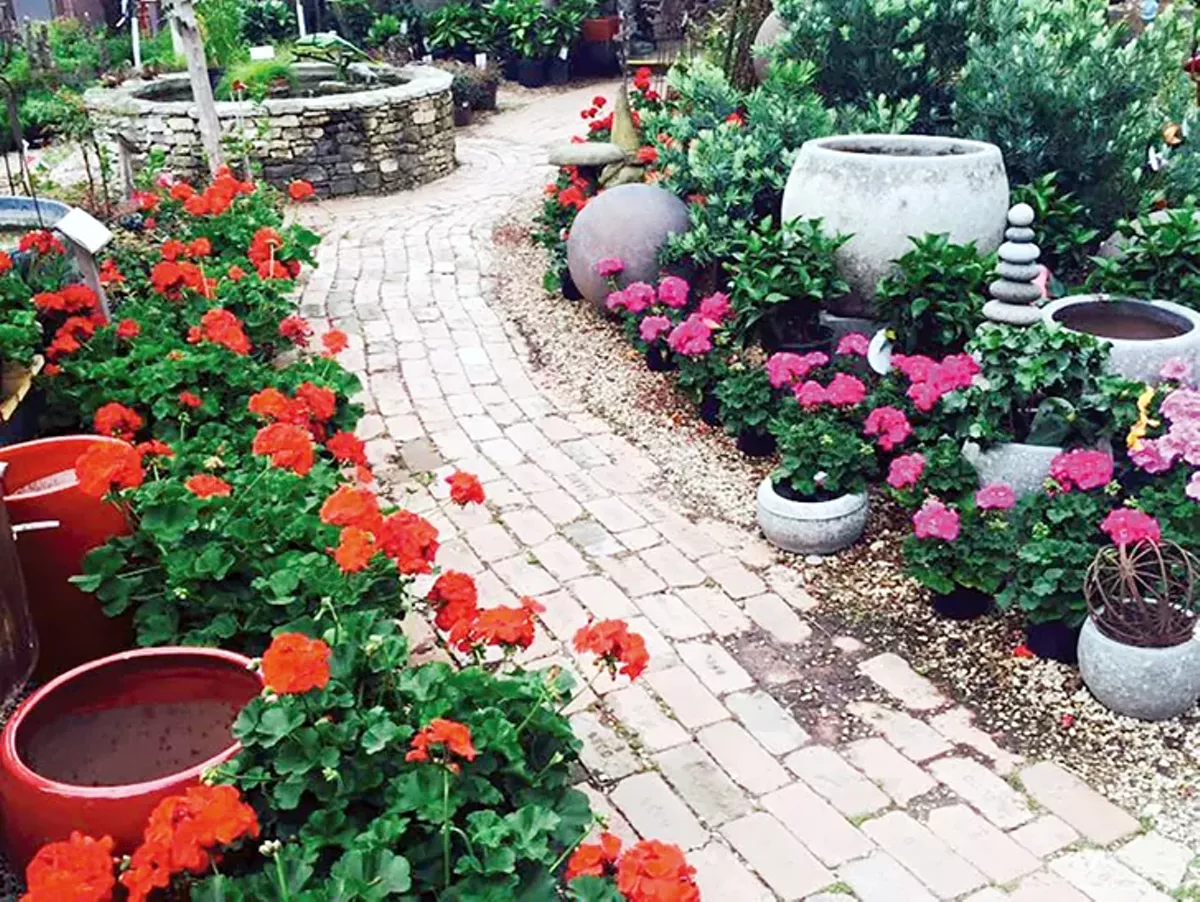 Image: Best Plant Nursery
