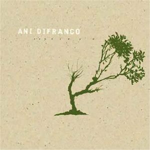 Cd Spotlight - Ani DiFranco