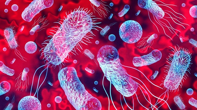 Signs and symptoms of Listeria infection vary depending on the person infected.