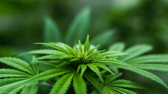 Scientific researchers have voiced concern that current federal rules make it unnecessarily difficult to obtain cannabis and other Schedule I substances.
