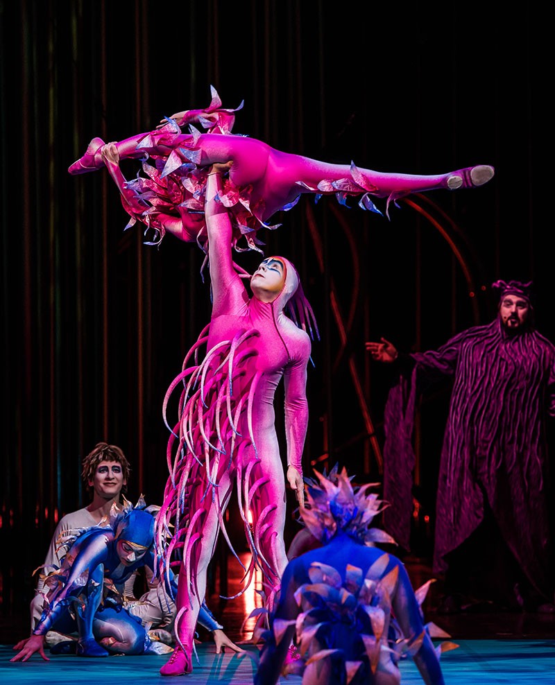 Dreams Of Flight: Cirque Du Soleil's 'Varekai' Lands In SA