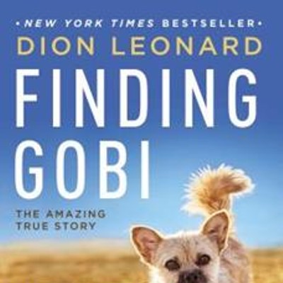 Finding Gobi Book