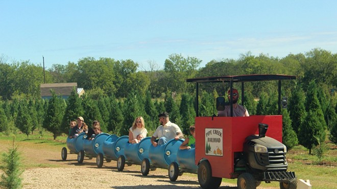 Choose and cut trees at Pipe Creek Farm are priced at approximately $12 per foot.