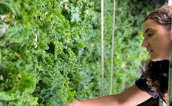LocalSprout Food Hub Manager Jess Rivera was first introduced to urban agriculture while cooking at San Antonio dining spots including Southerleigh Fine Food & Brewery.