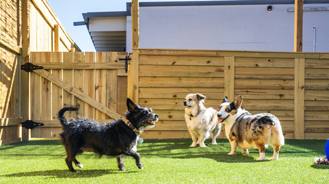 Good Dog will offer two outdoor play spaces near San Antonio's Pearl complex.