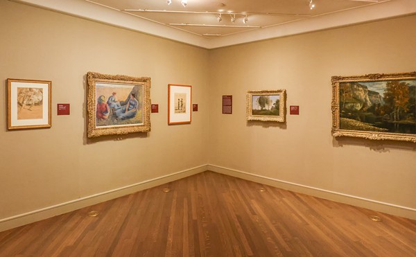 The McNay's “A Particular Beauty” shines new light on 19th century French prints, paintings and drawings from its permanent collection.