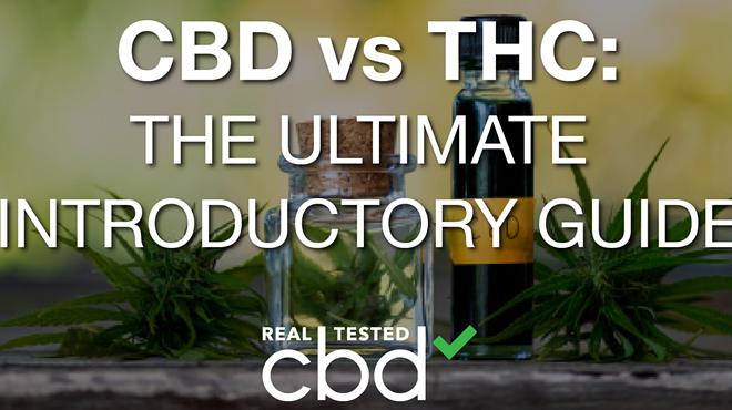 CBD vs THC: The Ultimate Introductory Guide
