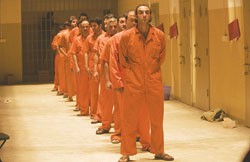 Prisoners line up in Errol Morris’s Standard Operating Procedure.