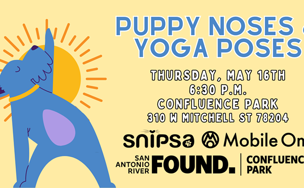 Puppy Noses & Yoga Poses