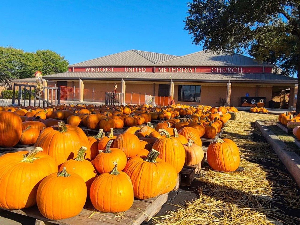 Windcrest United Methodist Church
8101 Midcrown Dr., Windcrest, (210) 654-0404, windcrestumc.org
Windcrest UMC's pumpkin patch is open daily starting September 23, from 10 a.m.-8 p.m. The church will also host special events throughout October, including movies in the patch, a Fall Bazaar October 12 and trunk or treat on October 26.