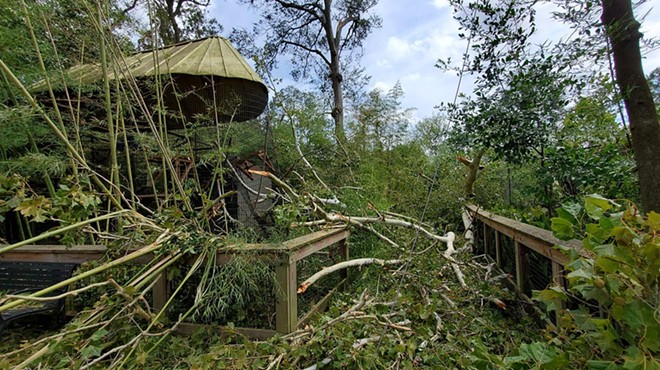San Antonio Zoo Joins Recovery Effort at Louisiana Zoo Damaged by Hurricane Laura