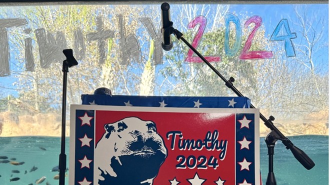 Timothy for President merchandise is available on the San Antonio Zoo's website.