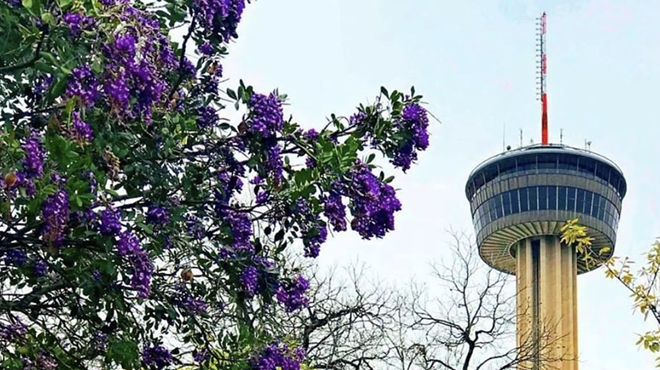The Tower of the Americas will host its third annual Wine Fest next month.