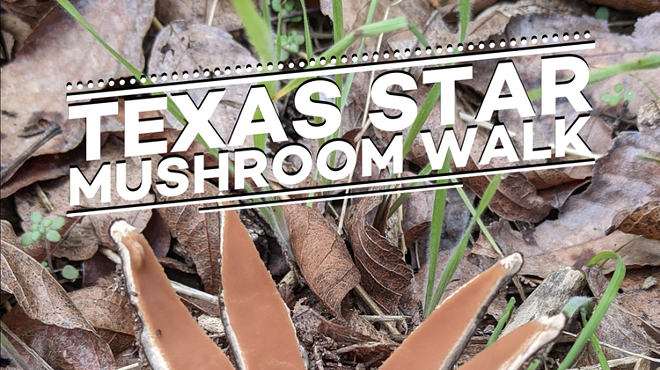 SATX: Texas Star Mushroom Walk