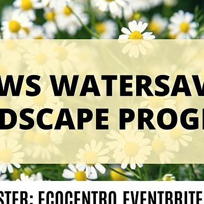Join us for a SAWS WaterSaver Landscape Program presented by Eco Centro.