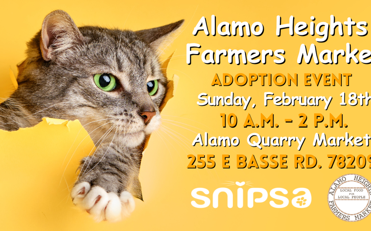 Image: SNIPSA X Alamo Heights Farmers Market