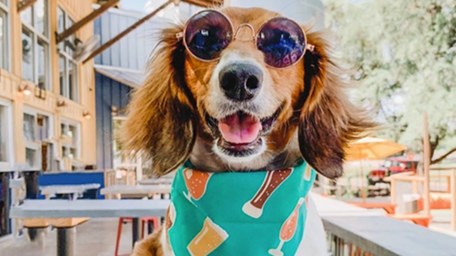 These San Antonio Businesses are Throwing Pet Parties Wednesday to Celebrate National Dog Day