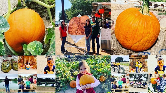 Third Annual Pick Your Own Pumpkin Off The Vine