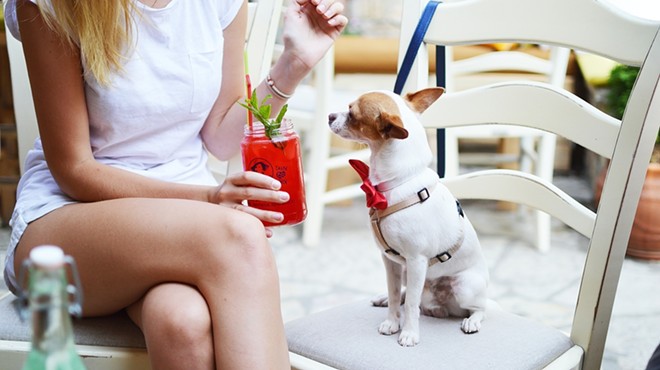 Three San Antonio restaurants landed on Yelp's Top 100 Dog-Friendly Places to Eat list.