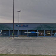 San Antonio Aquarium Temporarily Shut Down for Multiple Code Violations