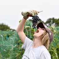 Where Wine Lovers Can Stomp (Or Punch) Grapes in Texas This Month