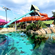 SeaWorld San Antonio to Make Aquatica a Standalone Park and Offer Swimming With Dolphins at New Discovery Point Park