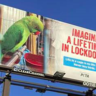 PETA buys San Antonio billboard a block from Petco store blasting the sale of birds as pets